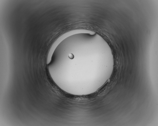 X0000115120708200911241347