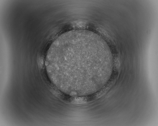 X0000115120709200911241347