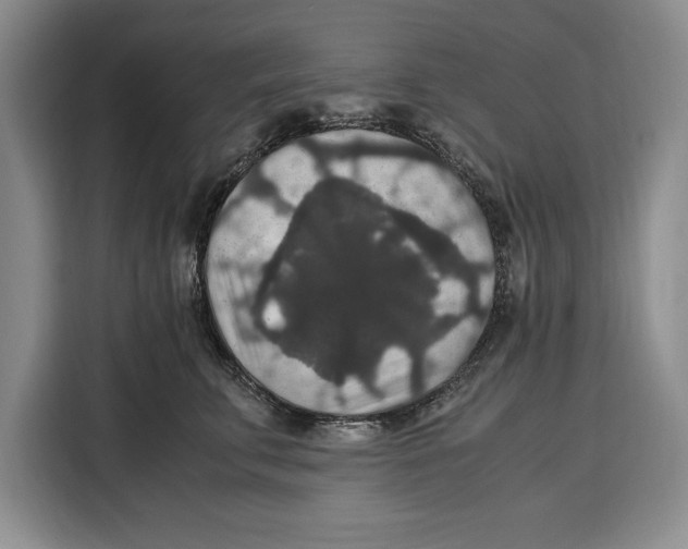 X0000115120711200911241347