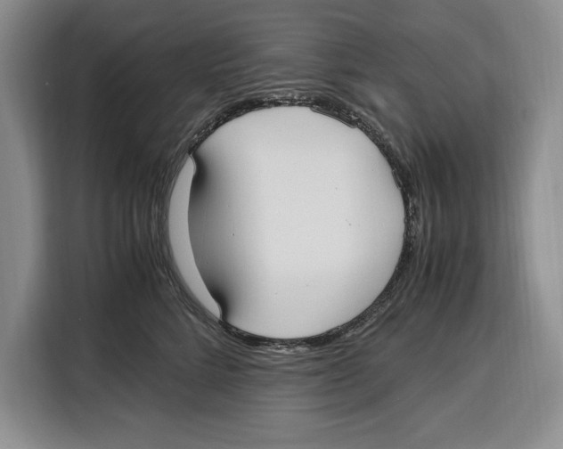 X0000115120712200911241347