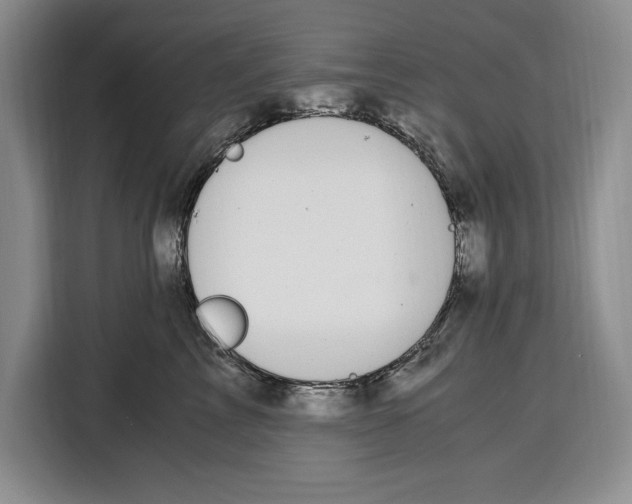 X0000115120713200911241347