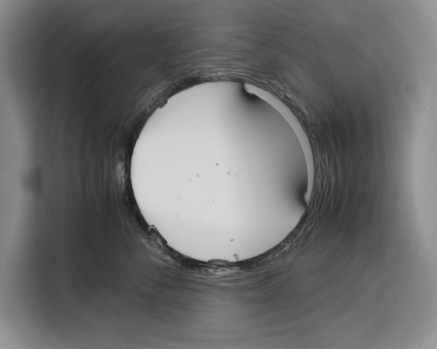 X0000115120716200911241347