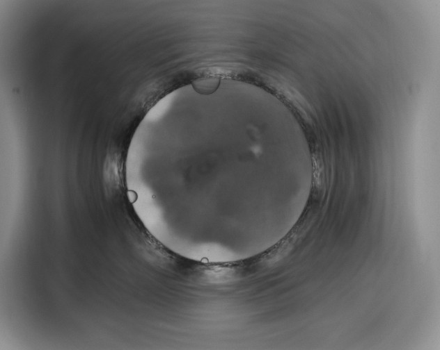 X0000115120718200911241347