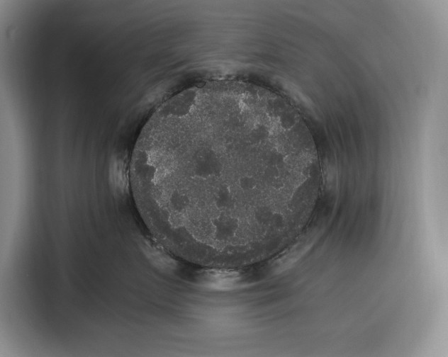 X0000115120719200911241347