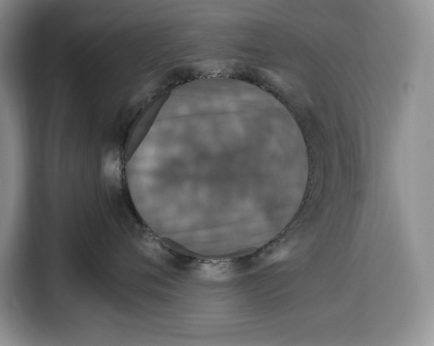 X0000115120720200911241347