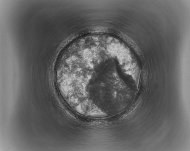 X0000115120721200911241346