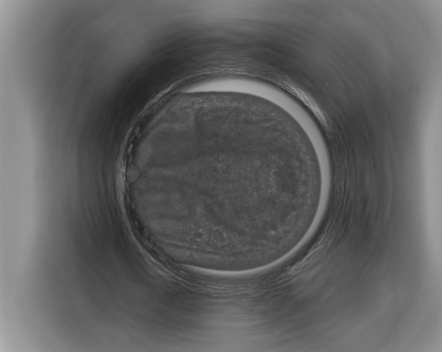 X0000115120722200911241346