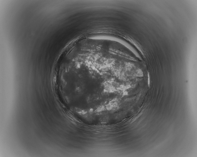 X0000115120723200911241346