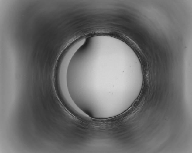 X0000115120725200911241346