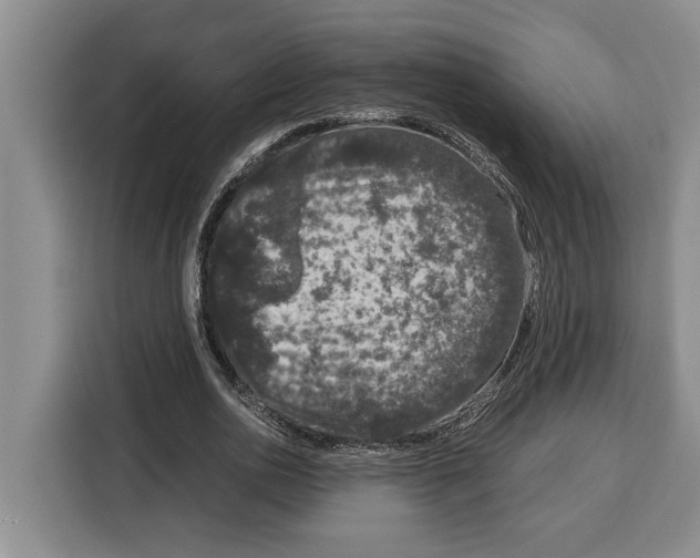 X0000115120726200911241346