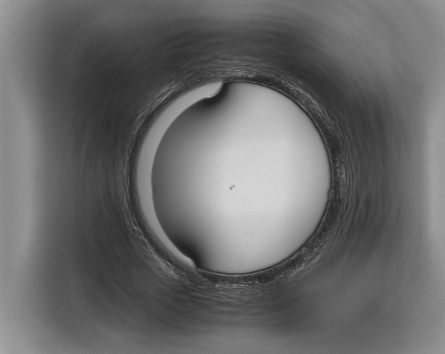 X0000115120729200911241347