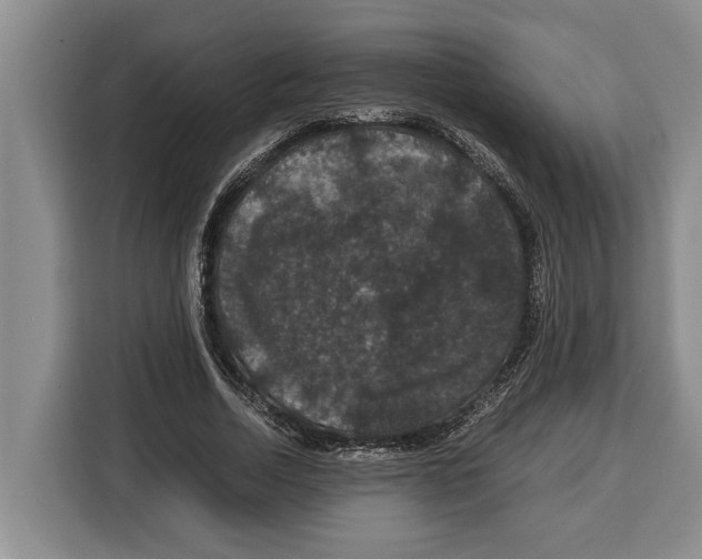 X0000115120730200911241347