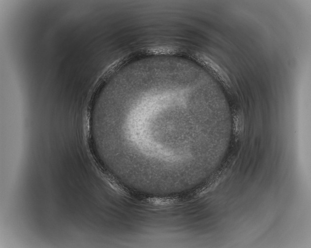 X0000115120733200911241347