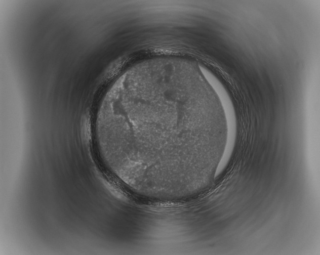 X0000115120734200911241347