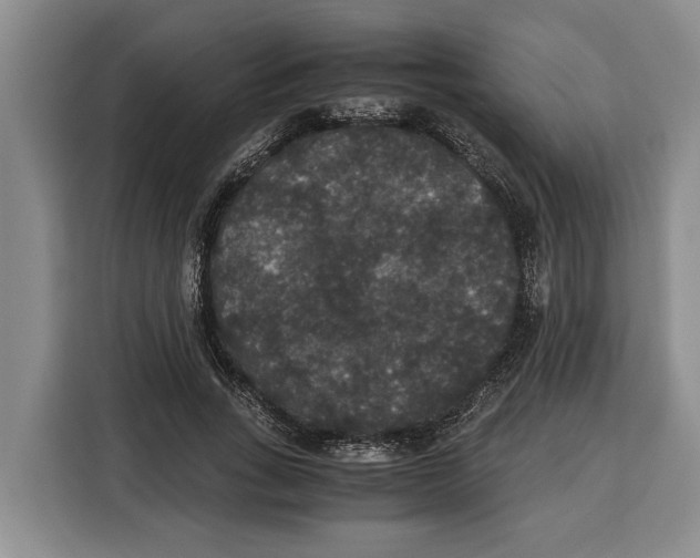 X0000115120735200911241347