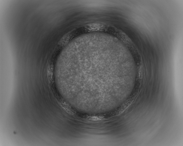 X0000115120737200911241347