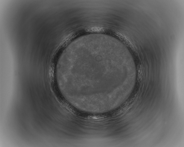 X0000115120739200911241347