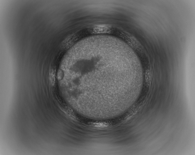 X0000115120741200911241347