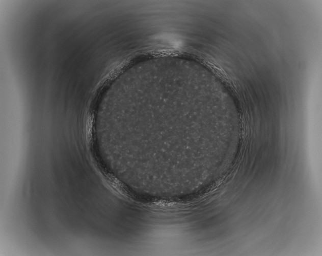 X0000115120742200911241347