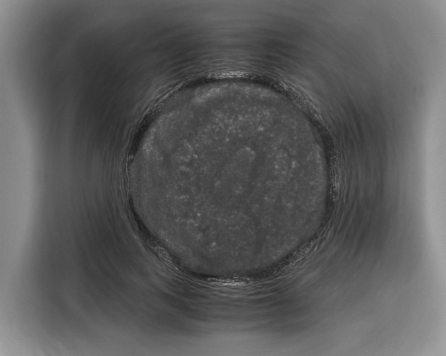 X0000115120743200911241347