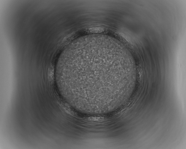 X0000115120745200911241347