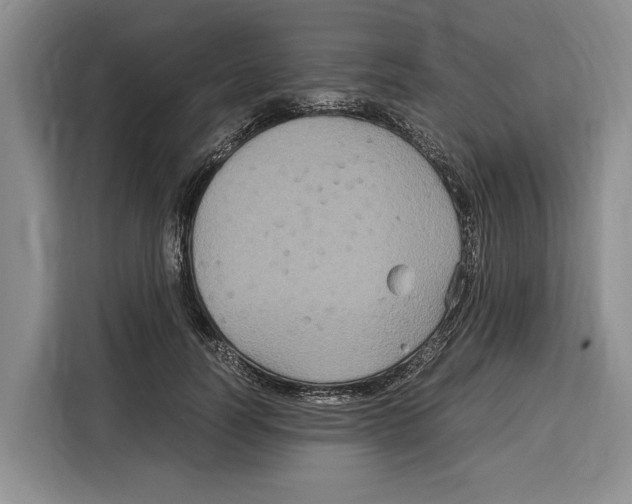 X0000115120746200911241347