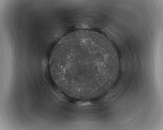 X0000115120747200911241347