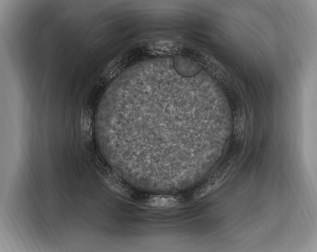 X0000115120749200911241347