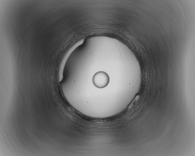 X0000115120750200911241347