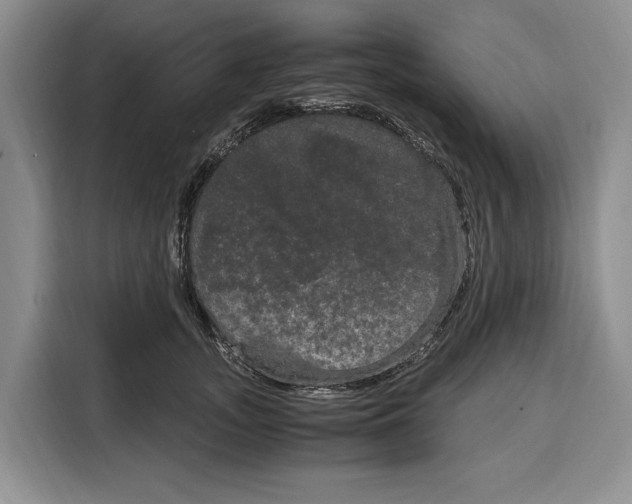 X0000115120755200911241347