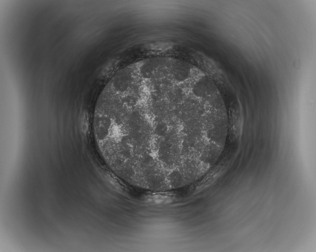 X0000115120758200911241347