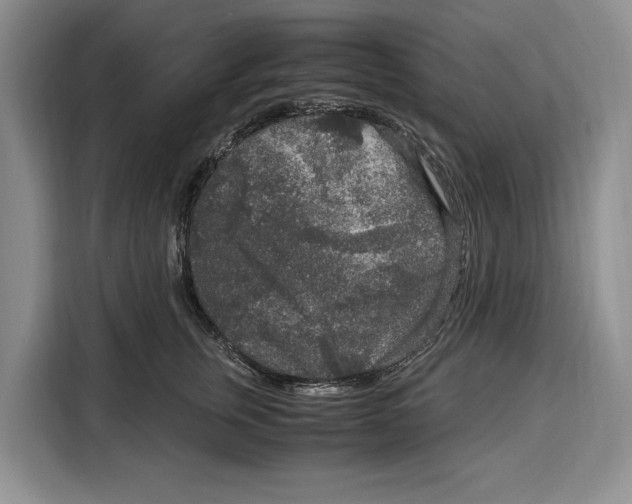 X0000115120759200911241347