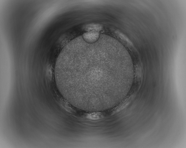 X0000115120761200911241347