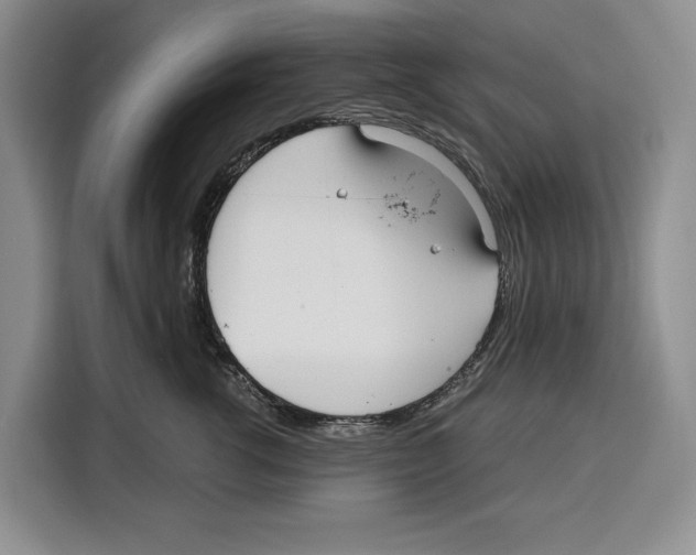 X0000115120762200911241347