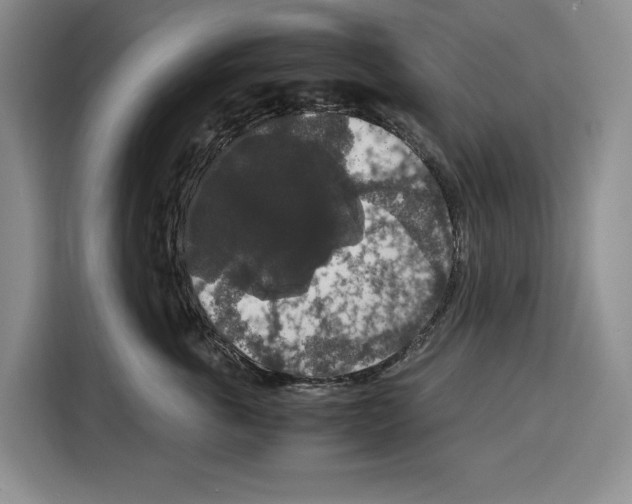 X0000115120763200911241347