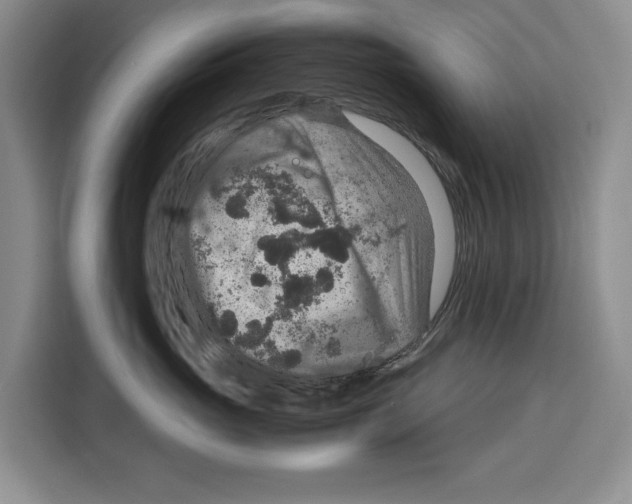 X0000115120765200911241347