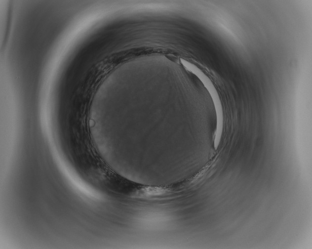 X0000115120766200911241347