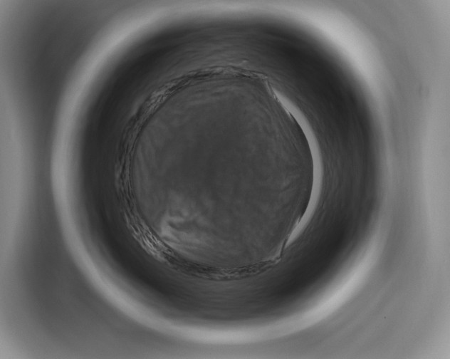 X0000115120767200911241347