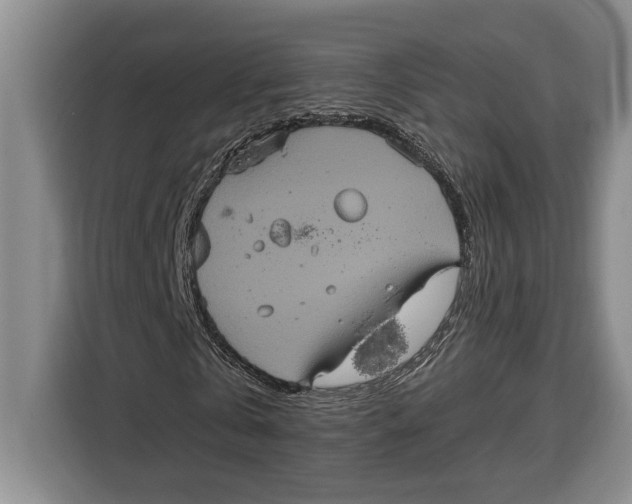 X0000115120769200911241346