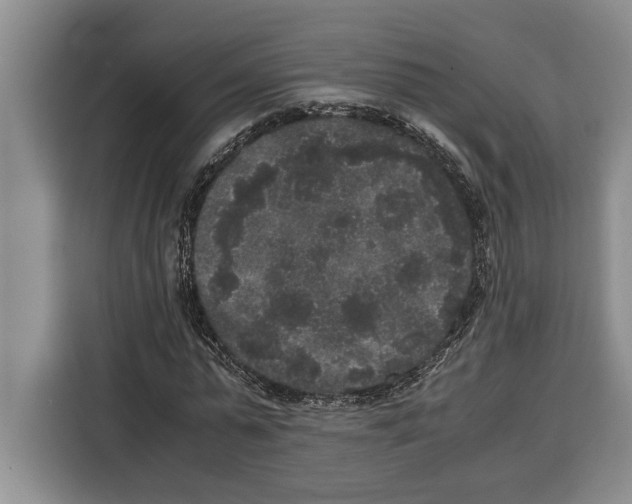 X0000115120775200911241346