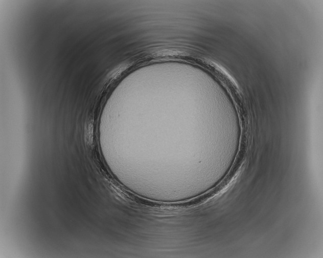 X0000115120777200911241346