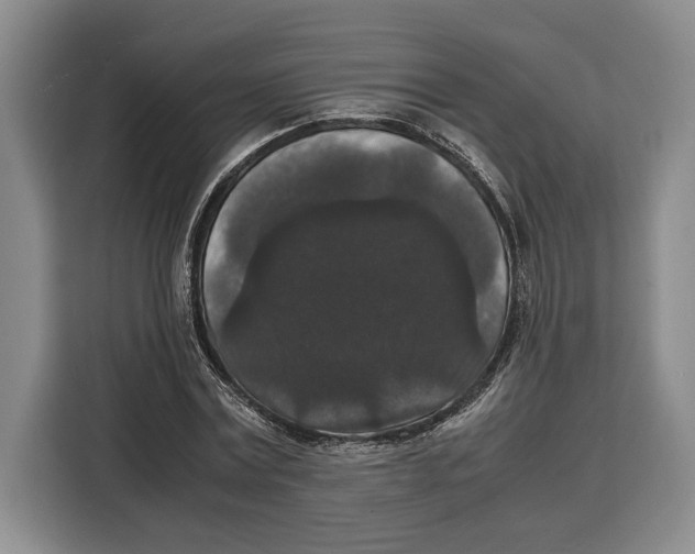 X0000115120779200911241346