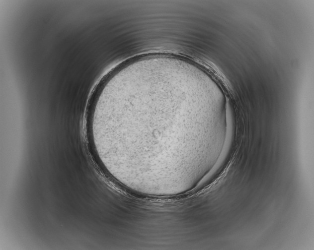 X0000115120780200911241346