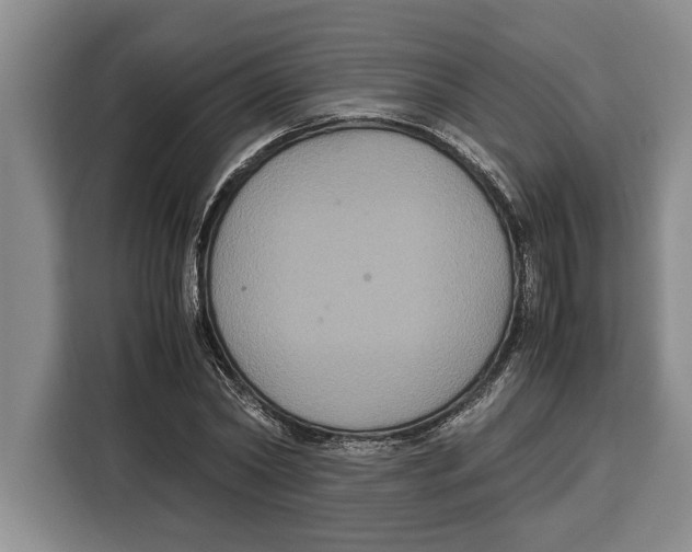 X0000115120782200911241346