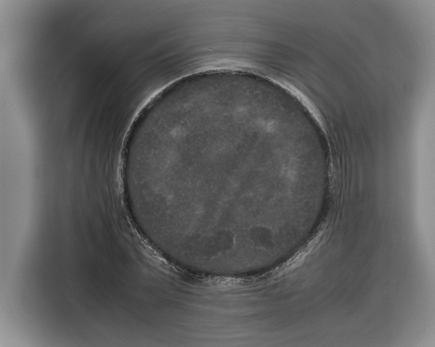 X0000115120783200911241346