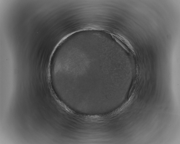 X0000115120784200911241346