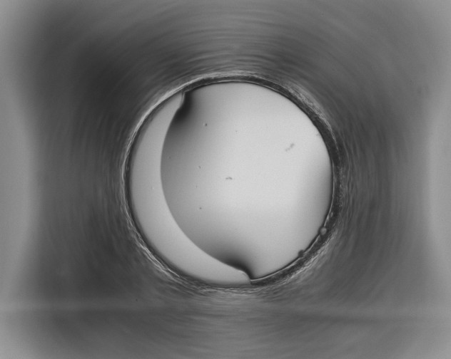 X0000115120789200911241346