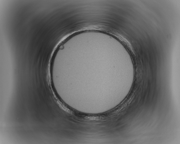 X0000115120792200911241346