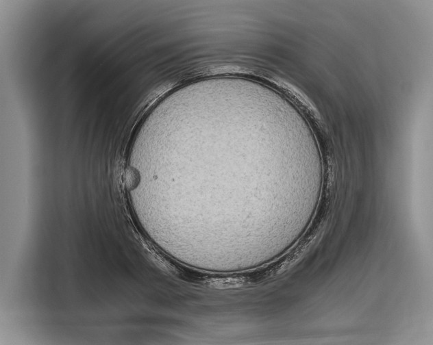 X0000115120793200911241346