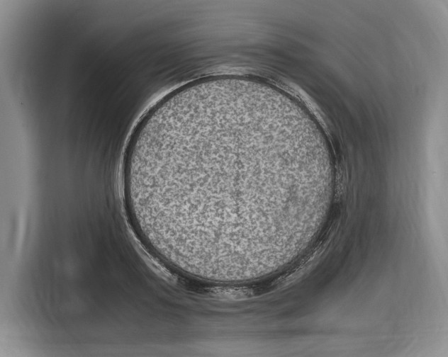 X0000115120795200911241346